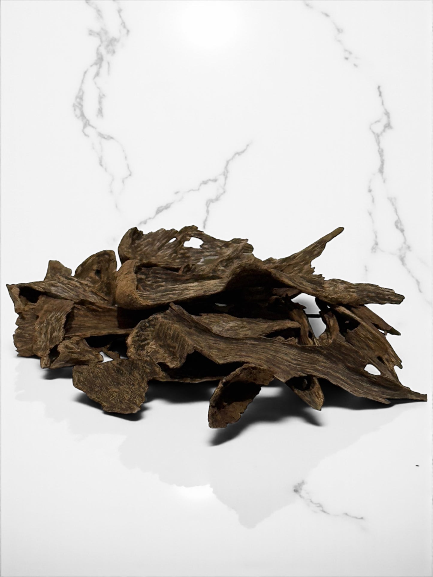 عود سيلاني آدم