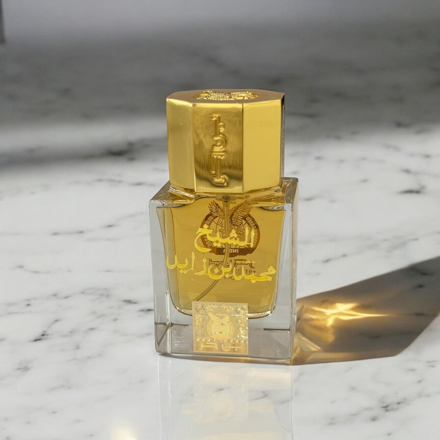 بن حر - الشيخ محمد بن زايد